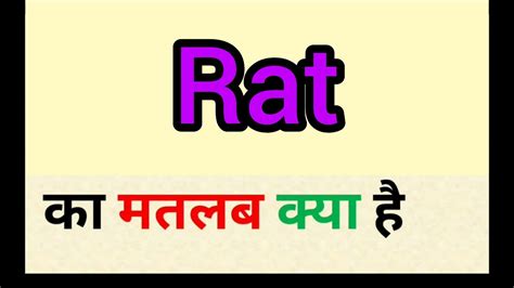 rat miners meaning in hindi